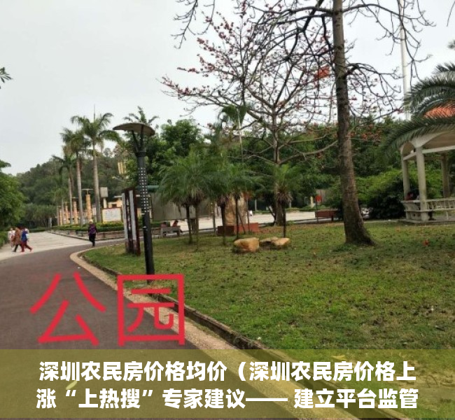 深圳农民房价格均价（深圳农民房价格上涨“上热搜”专家建议―― 建立平台监管小产权房交易）