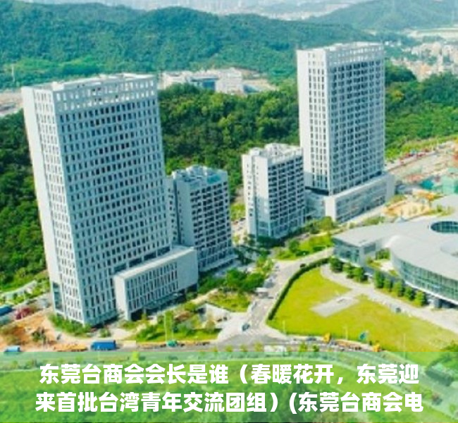 东莞台商会会长是谁（春暖花开，东莞迎来首批台湾青年交流团组）(东莞台商会电话)