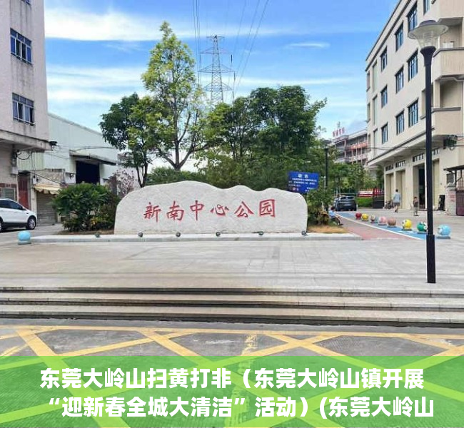 东莞大岭山扫黄打非（东莞大岭山镇开展“迎新春全城大清洁”活动）(东莞大岭山大岭村村霸)
