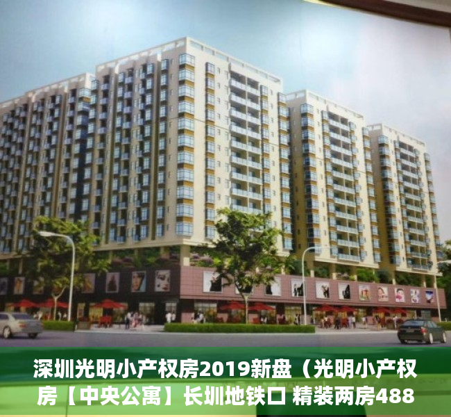 深圳光明小产权房2019新盘（光明小产权房【中央公寓】长圳地铁口 精装两房488万套起）