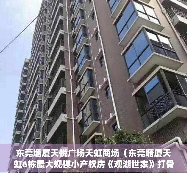 东莞塘厦天悦广场天虹商场（东莞塘厦天虹6栋最大规模小产权房《观湖世家》打骨折卖房，封闭式小区房，三房总价37万起）