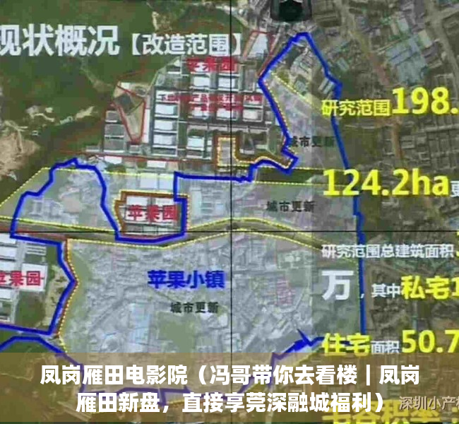 凤岗雁田电影院（冯哥带你去看楼｜凤岗雁田新盘，直接享莞深融城福利）
