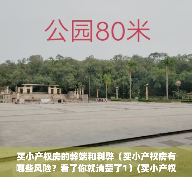 买小产权房的弊端和利弊（买小产权房有哪些风险？看了你就清楚了1）(买小产权房有没有风险)