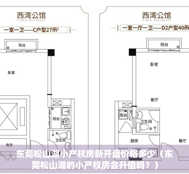 东莞松山湖小产权房新开盘价格多少（东莞松山湖的小产权房会升值吗？）