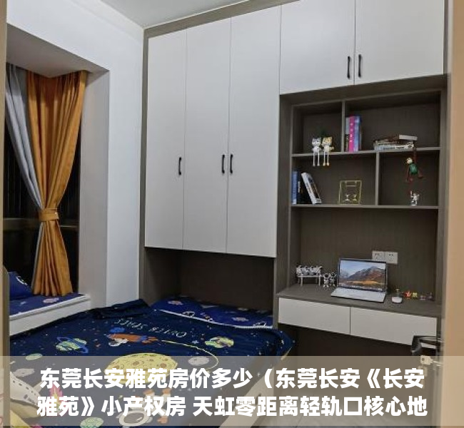 东莞长安雅苑房价多少（东莞长安《长安雅苑》小产权房 天虹零距离轻轨口核心地段）