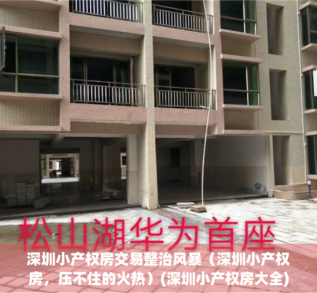 深圳小产权房交易整治风暴（深圳小产权房，压不住的火热）(深圳小产权房大全)