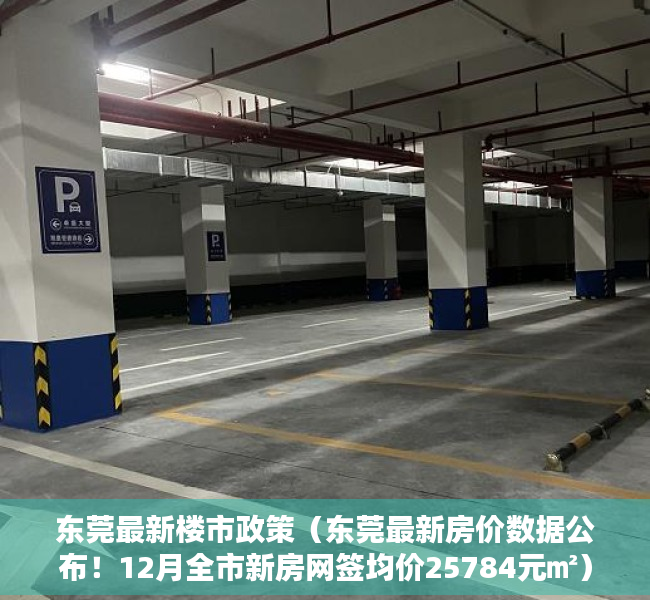 东莞最新楼市政策（东莞最新房价数据公布！12月全市新房网签均价25784元㎡）