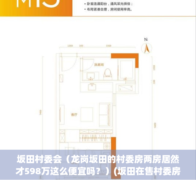 坂田村委会（龙岗坂田的村委房两房居然才598万这么便宜吗？）(坂田在售村委房)