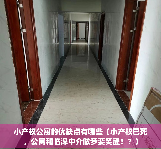 小产权公寓的优缺点有哪些（小产权已死，公寓和临深中介做梦要笑醒！？）