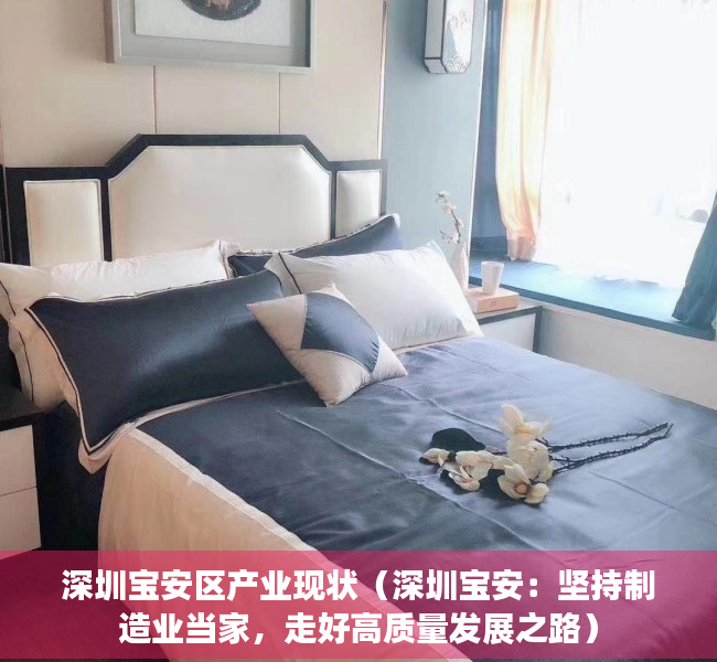 深圳宝安区产业现状（深圳宝安：坚持制造业当家，走好高质量发展之路）