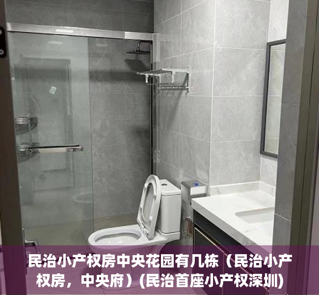 民治小产权房中央花园有几栋（民治小产权房，中央府）(民治首座小产权深圳)