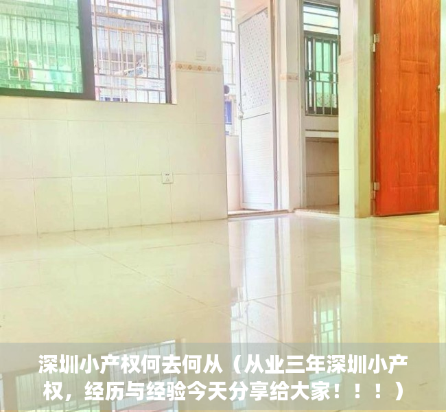 深圳小产权何去何从（从业三年深圳小产权，经历与经验今天分享给大家！！！）