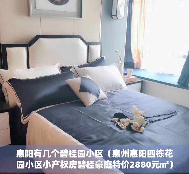 惠阳有几个碧桂园小区（惠州惠阳四栋花园小区小产权房碧桂豪庭特价2880元㎡）
