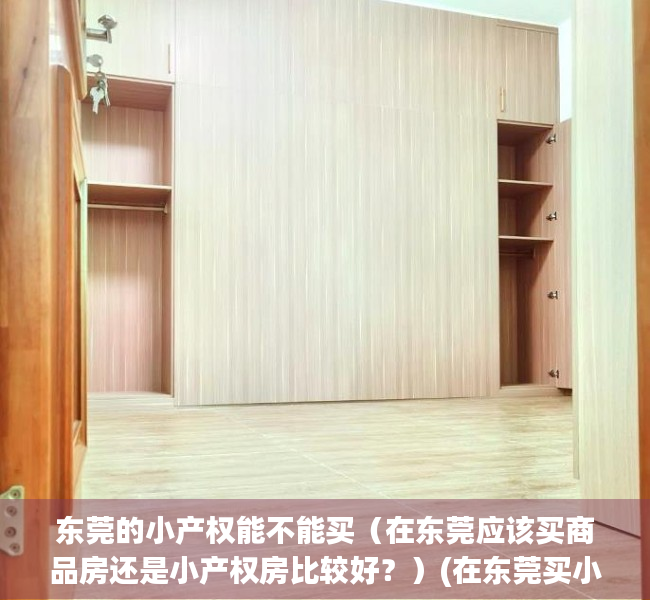 东莞的小产权能不能买（在东莞应该买商品房还是小产权房比较好？）(在东莞买小产权房风险大吗?)