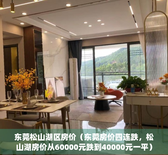 东莞松山湖区房价（东莞房价四连跌，松山湖房价从60000元跌到40000元一平）