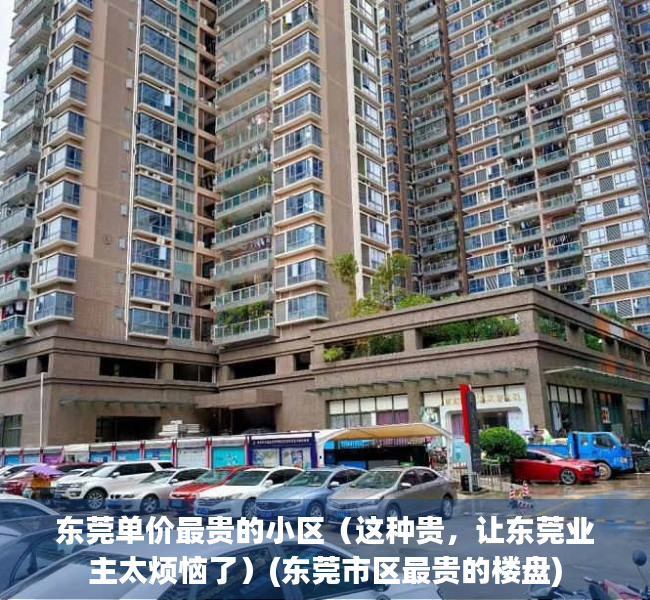 东莞单价最贵的小区（这种贵，让东莞业主太烦恼了）(东莞市区最贵的楼盘)