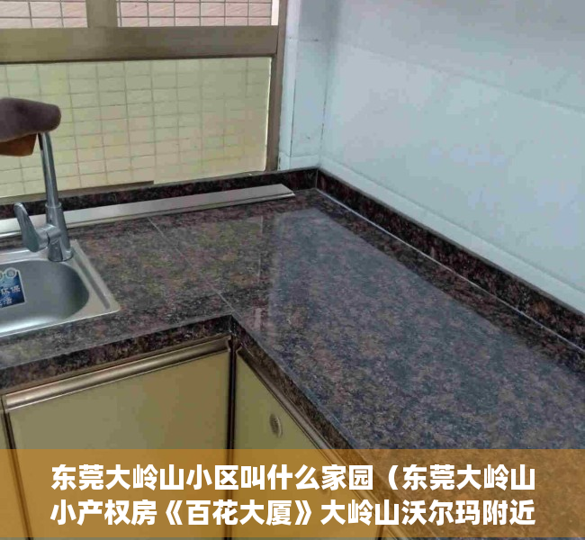 东莞大岭山小区叫什么家园（东莞大岭山小产权房《百花大厦》大岭山沃尔玛附近，全部精装两房318万一套，三房388万一套）