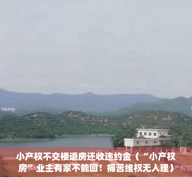 小产权不交楼退房还收违约金（“小产权房”业主有家不能回！痛苦维权无人理）