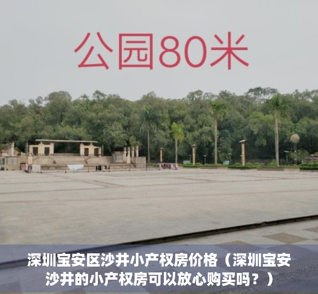 深圳宝安区沙井小产权房价格（深圳宝安沙井的小产权房可以放心购买吗？）