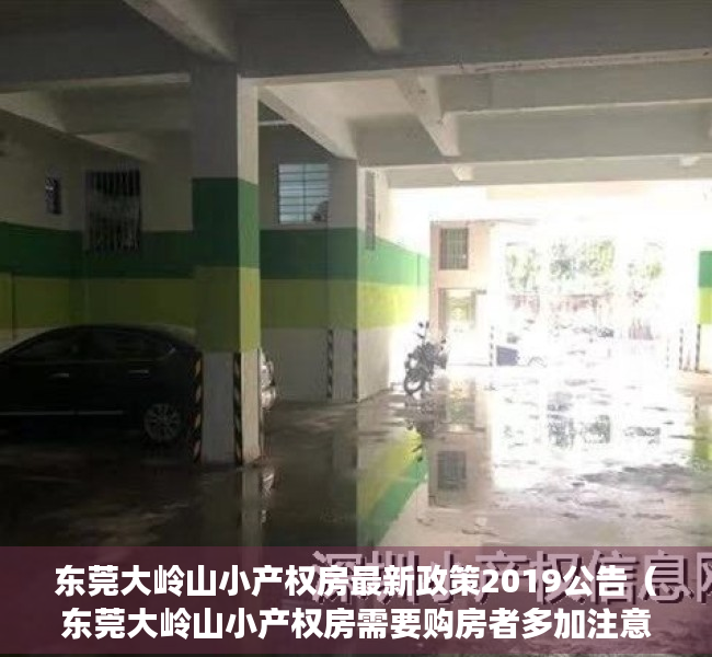 东莞大岭山小产权房最新政策2019公告（东莞大岭山小产权房需要购房者多加注意哪些问题？）