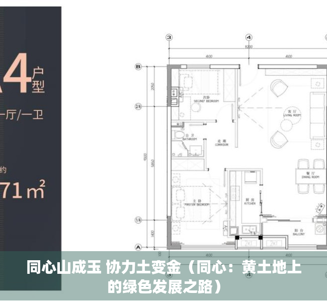 同心山成玉 协力土变金（同心：黄土地上的绿色发展之路）