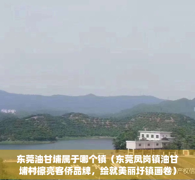 东莞油甘埔属于哪个镇（东莞凤岗镇油甘埔村擦亮客侨品牌，绘就美丽圩镇画卷）