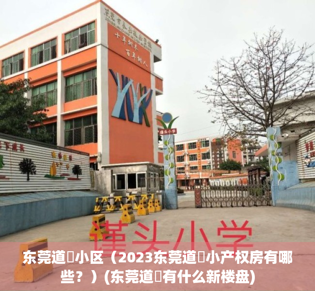 东莞道滘小区（2023东莞道滘小产权房有哪些？）(东莞道滘有什么新楼盘)