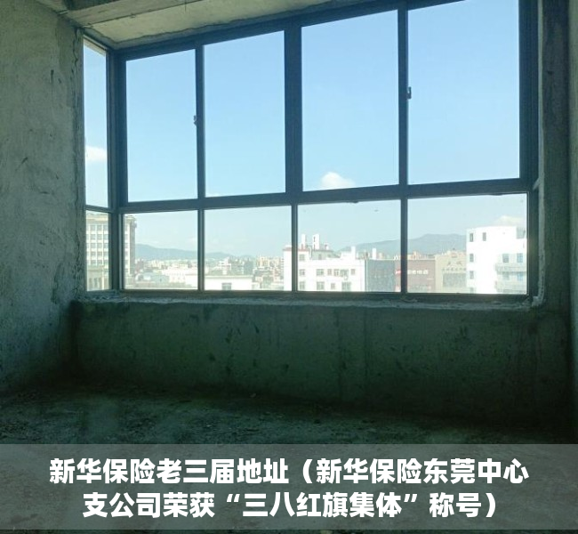 新华保险老三届地址（新华保险东莞中心支公司荣获“三八红旗集体”称号）