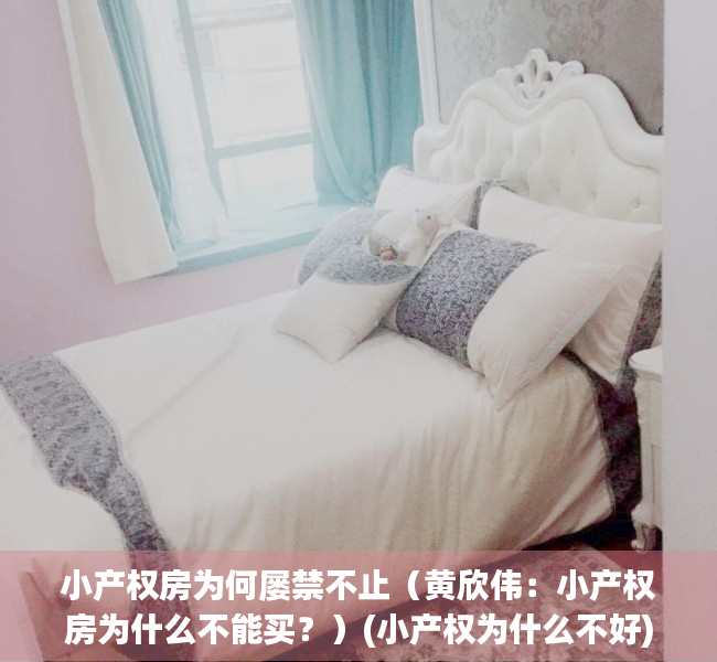 小产权房为何屡禁不止（黄欣伟：小产权房为什么不能买？）(小产权为什么不好)