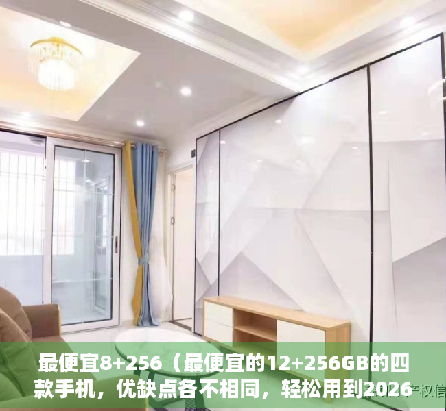 最便宜8+256（最便宜的12+256GB的四款手机，优缺点各不相同，轻松用到2026年）