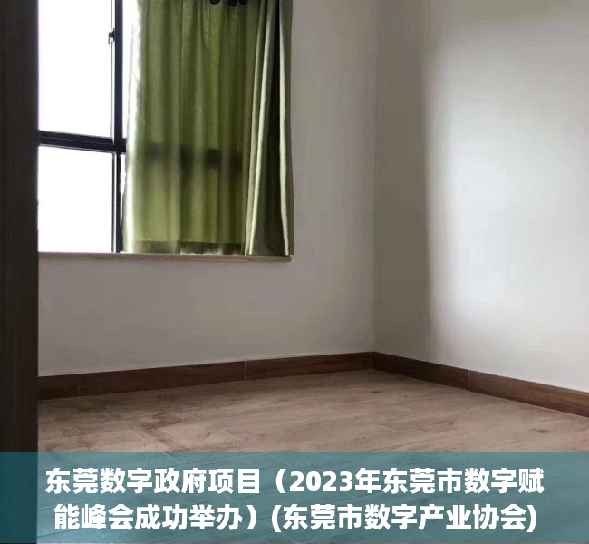 东莞数字政府项目（2023年东莞市数字赋能峰会成功举办）(东莞市数字产业协会)
