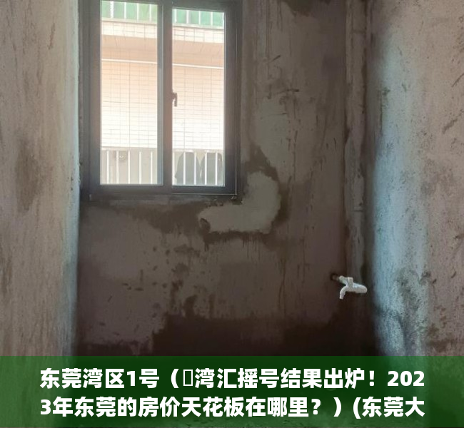 东莞湾区1号（瑧湾汇摇号结果出炉！2023年东莞的房价天花板在哪里？）(东莞大湾区房价大涨)