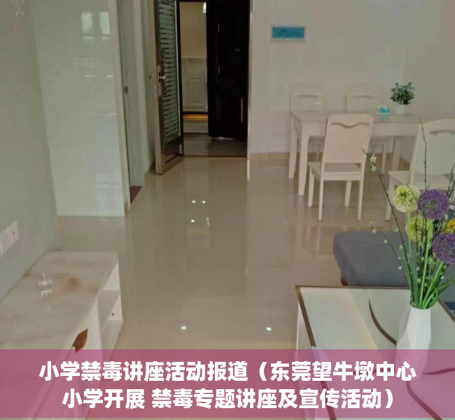 小学禁毒讲座活动报道（东莞望牛墩中心小学开展 禁毒专题讲座及宣传活动）