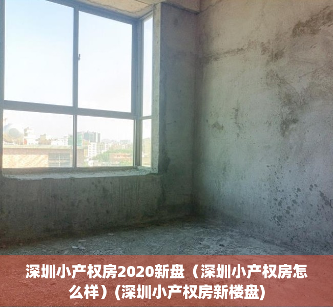 深圳小产权房2020新盘（深圳小产权房怎么样）(深圳小产权房新楼盘)