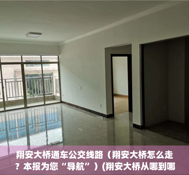 翔安大桥通车公交线路（翔安大桥怎么走？本报为您“导航”）(翔安大桥从哪到哪)