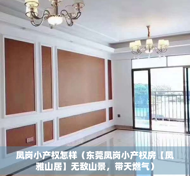 凤岗小产权怎样（东莞凤岗小产权房【凤雅山居】无敌山景，带天燃气）