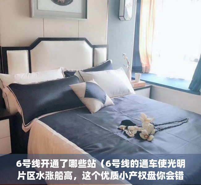 6号线开通了哪些站（6号线的通车使光明片区水涨船高，这个优质小产权盘你会错过吗？）