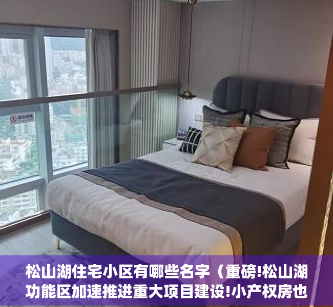 松山湖住宅小区有哪些名字（重磅!松山湖功能区加速推进重大项目建设!小产权房也将迎来新一波大涨!）