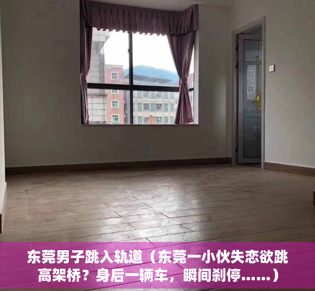 东莞男子跳入轨道（东莞一小伙失恋欲跳高架桥？身后一辆车，瞬间刹停……）