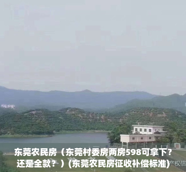 东莞农民房（东莞村委房两房598可拿下？还是全款？）(东莞农民房征收补偿标准)