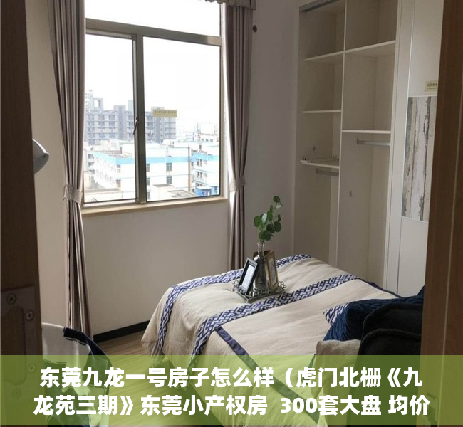 东莞九龙一号房子怎么样（虎门北栅《九龙苑三期》东莞小产权房  300套大盘 均价4280元）