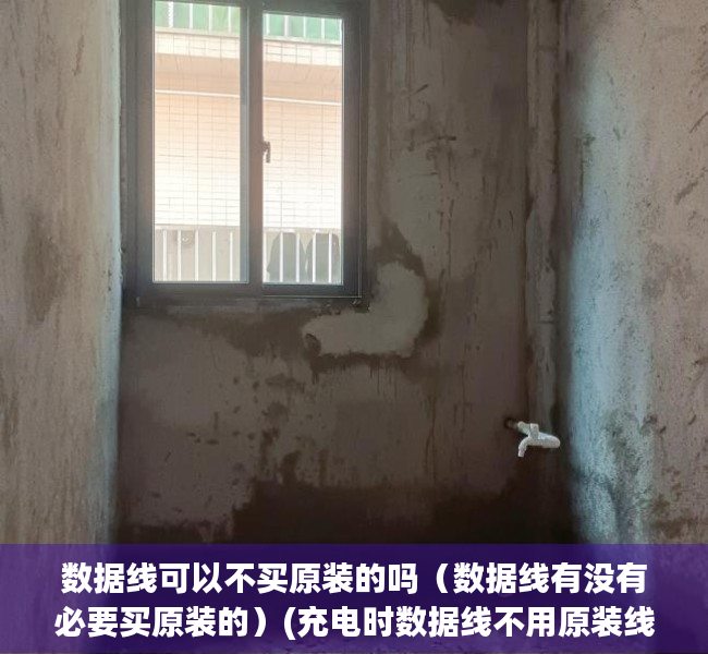 数据线可以不买原装的吗（数据线有没有必要买原装的）(充电时数据线不用原装线可以吗?)