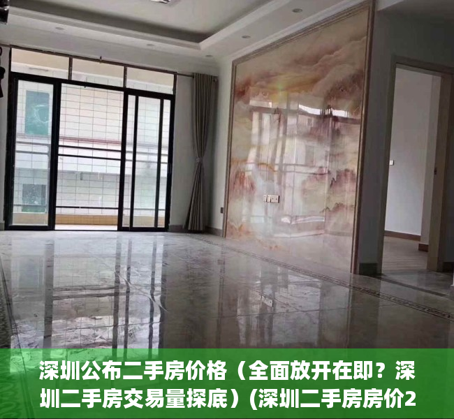深圳公布二手房价格（全面放开在即？深圳二手房交易量探底）(深圳二手房房价2021)