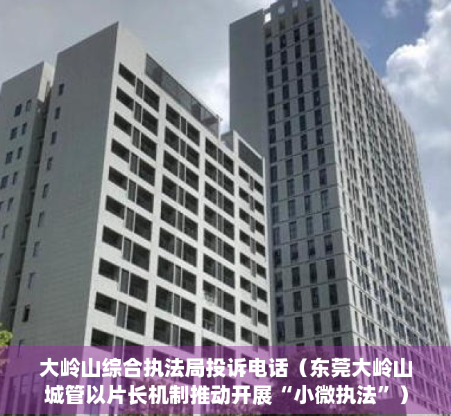 大岭山综合执法局投诉电话（东莞大岭山城管以片长机制推动开展“小微执法”）