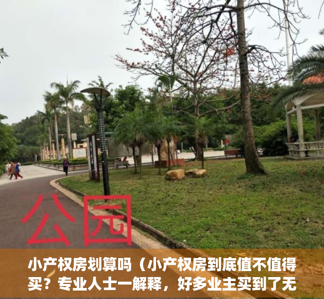 小产权房划算吗（小产权房到底值不值得买？专业人士一解释，好多业主买到了无产权）