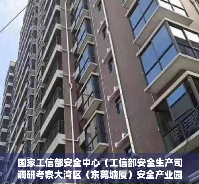 国家工信部安全中心（工信部安全生产司调研考察大湾区（东莞塘厦）安全产业园发展情况）