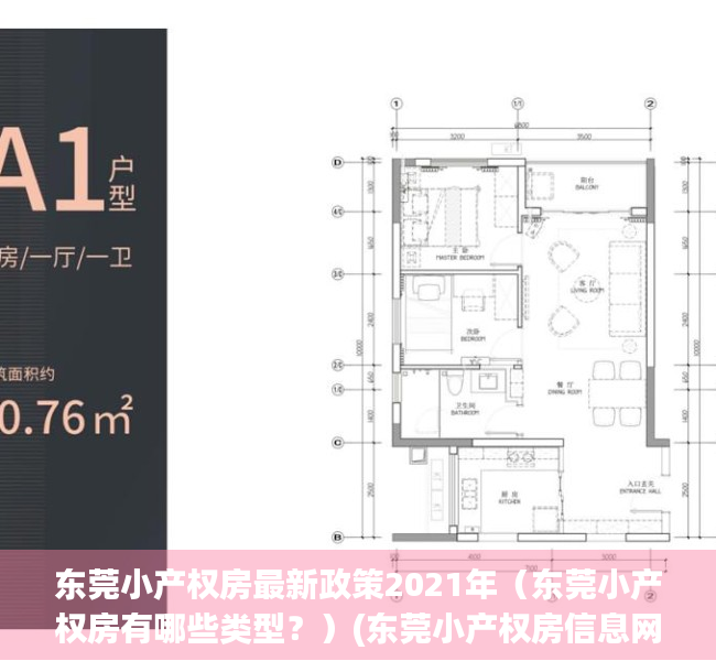 东莞小产权房最新政策2021年（东莞小产权房有哪些类型？）(东莞小产权房信息网)