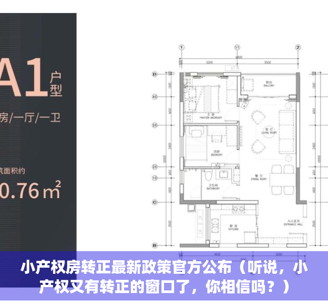 小产权房转正最新政策官方公布（听说，小产权又有转正的窗口了，你相信吗？）