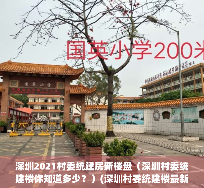 深圳2021村委统建房新楼盘（深圳村委统建楼你知道多少？）(深圳村委统建楼最新政策)