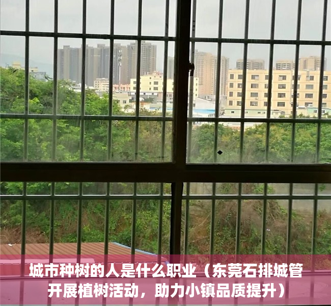 城市种树的人是什么职业（东莞石排城管开展植树活动，助力小镇品质提升）